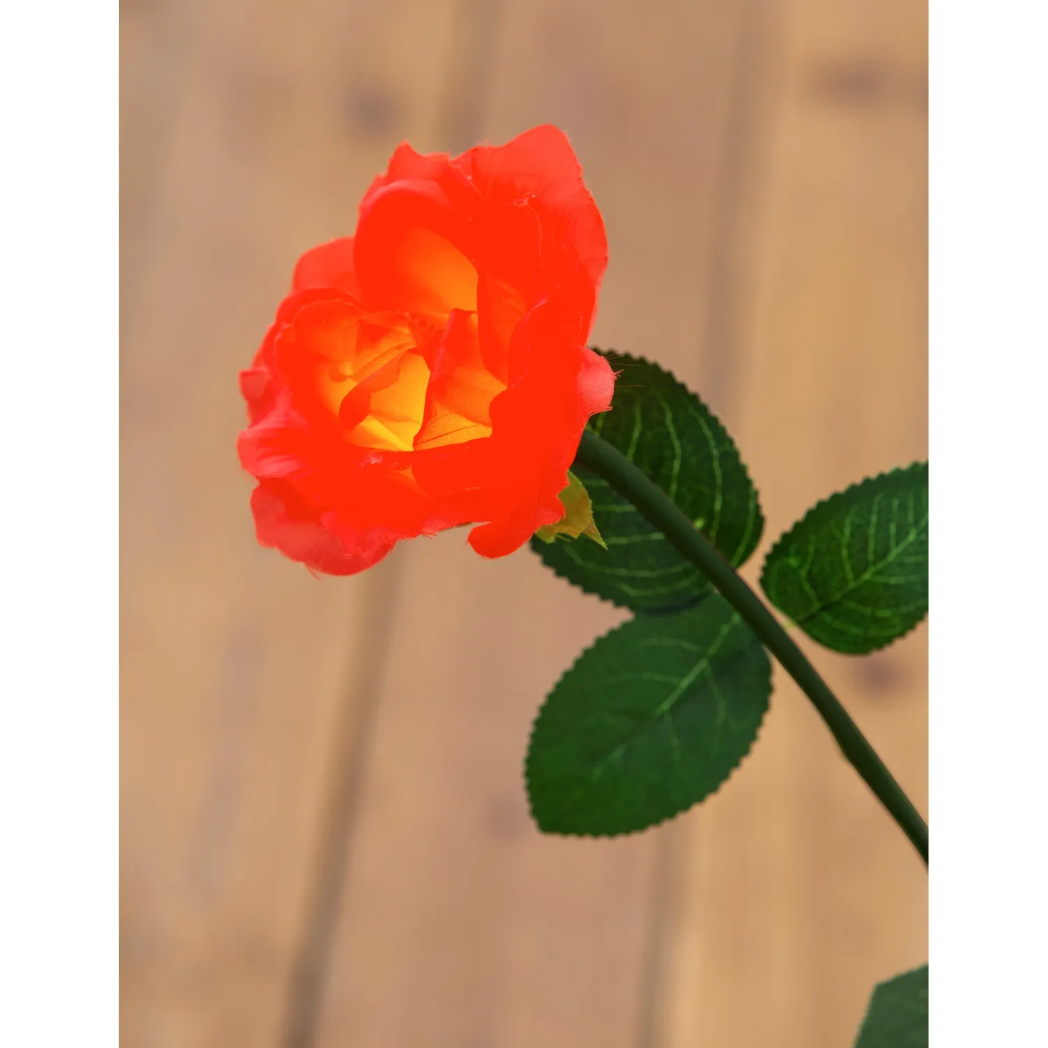 27" LED Rose Stem Table Décor, 4"x4"x27"inches