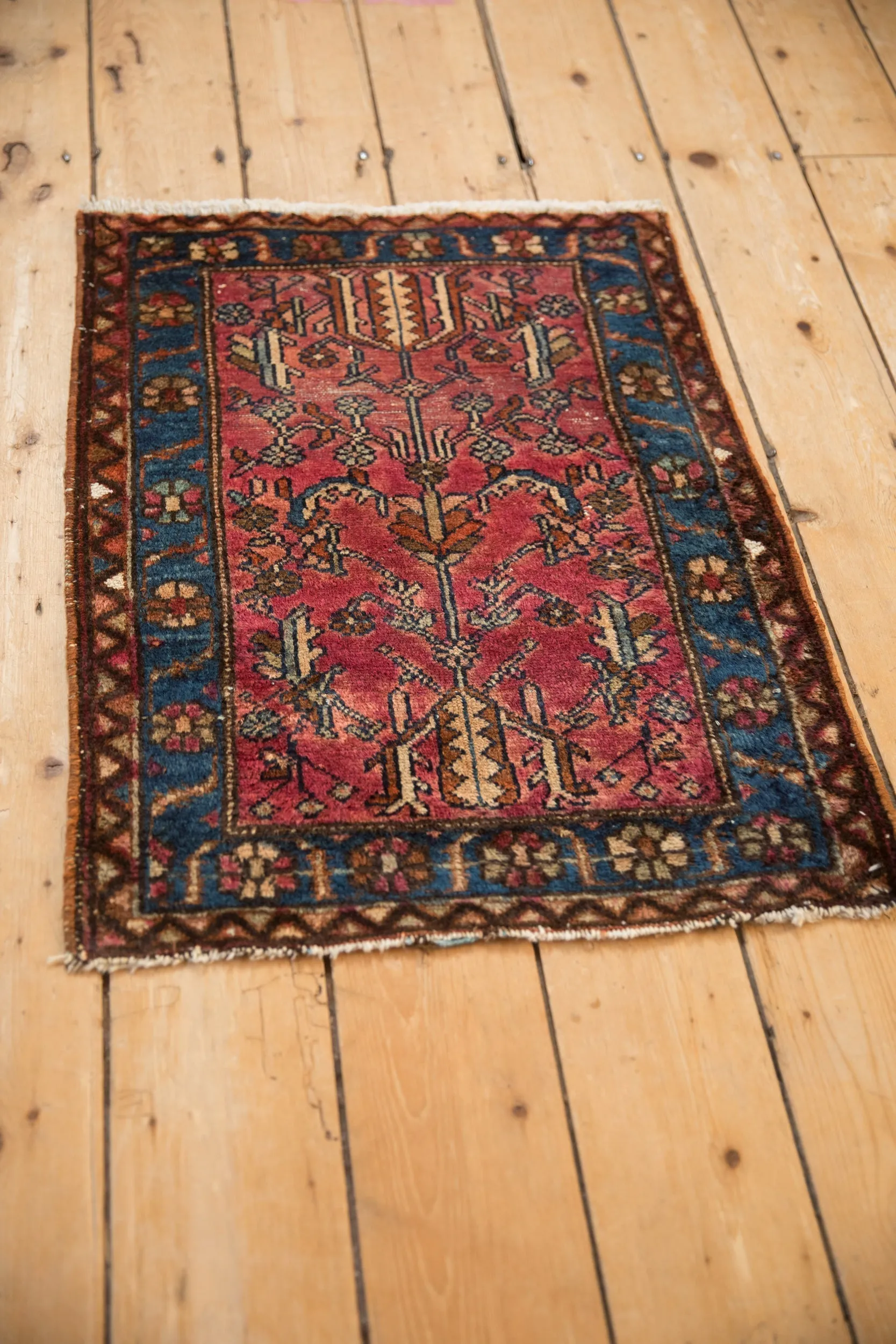 2x2.5 Vintage Lilihan Square Rug Mat