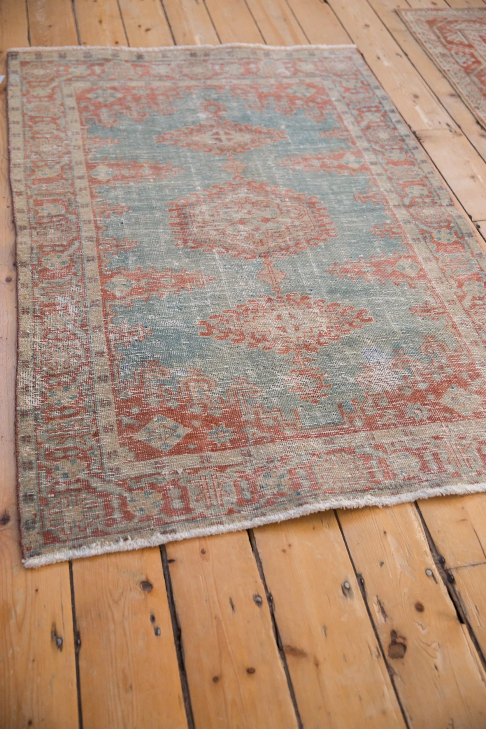 3.5x5 Vintage Distressed Veece Rug