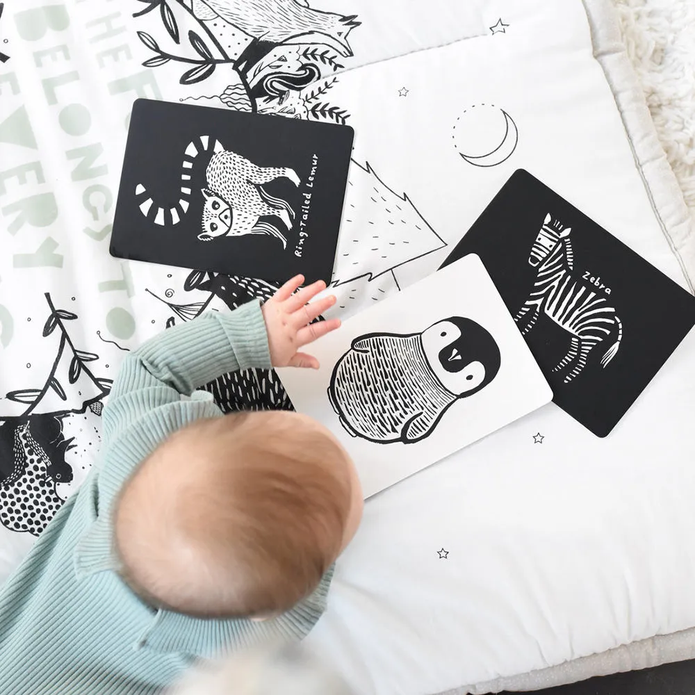 Black & White Art Cards for Baby