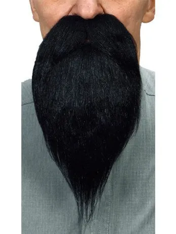 Black Beard and Moustache