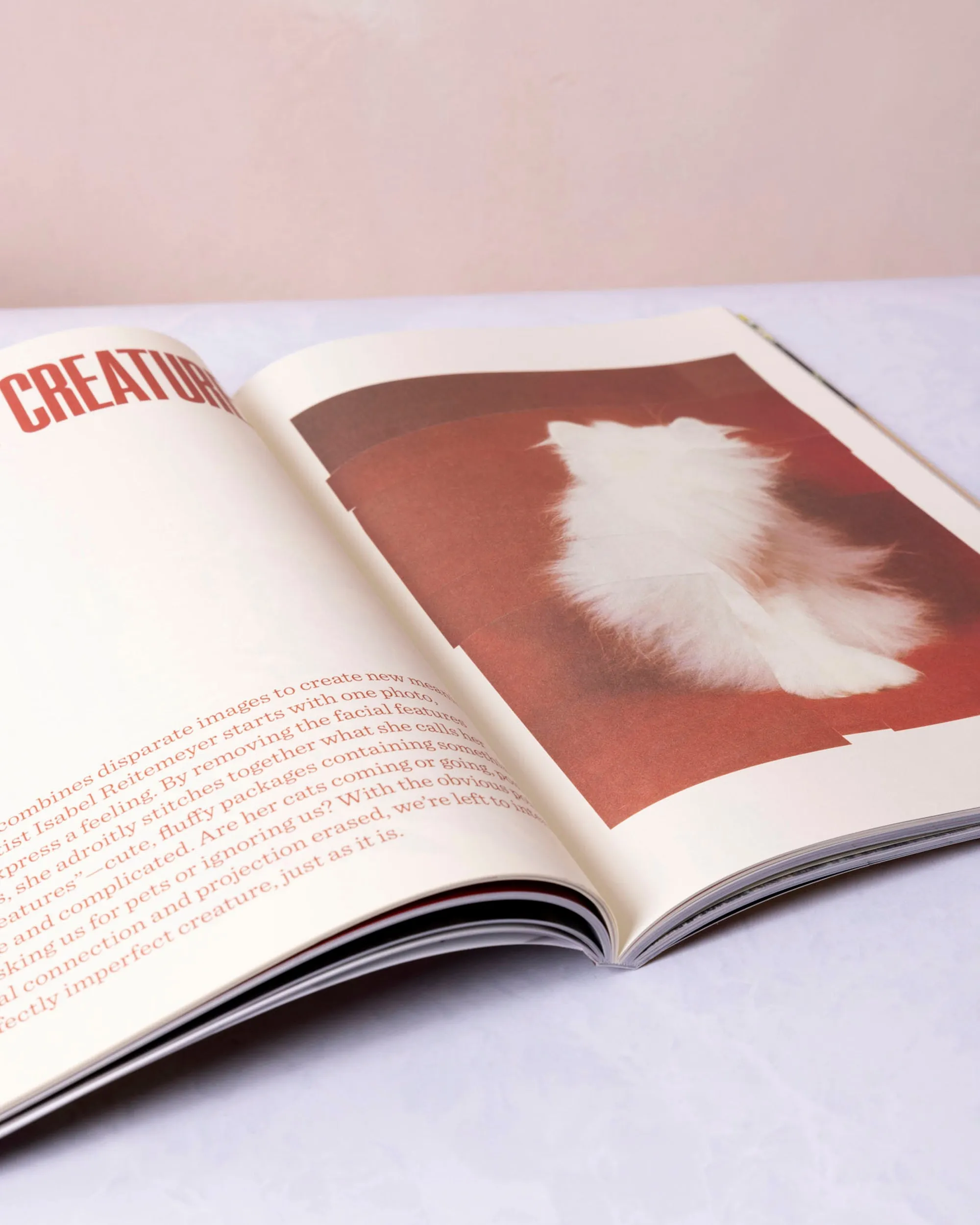 Brown - Catnip Magazine - Broccoli
