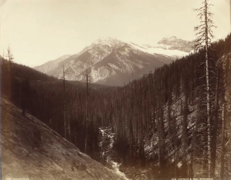 CNR, Western Canada, #1653, Field Peak