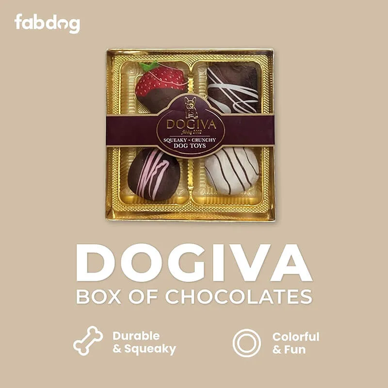 FabDog Dogiva Chocolates Box - Squeaky Crunchy Dog Toys