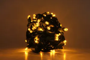 Outdoor LED Lighted Christmas Tree of Southern California