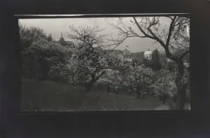 (Paysage)