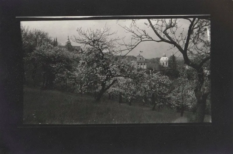 (Paysage)