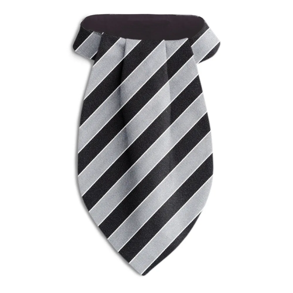 Scholastic Black/Silver - Ascots