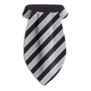 Scholastic Black/Silver - Ascots