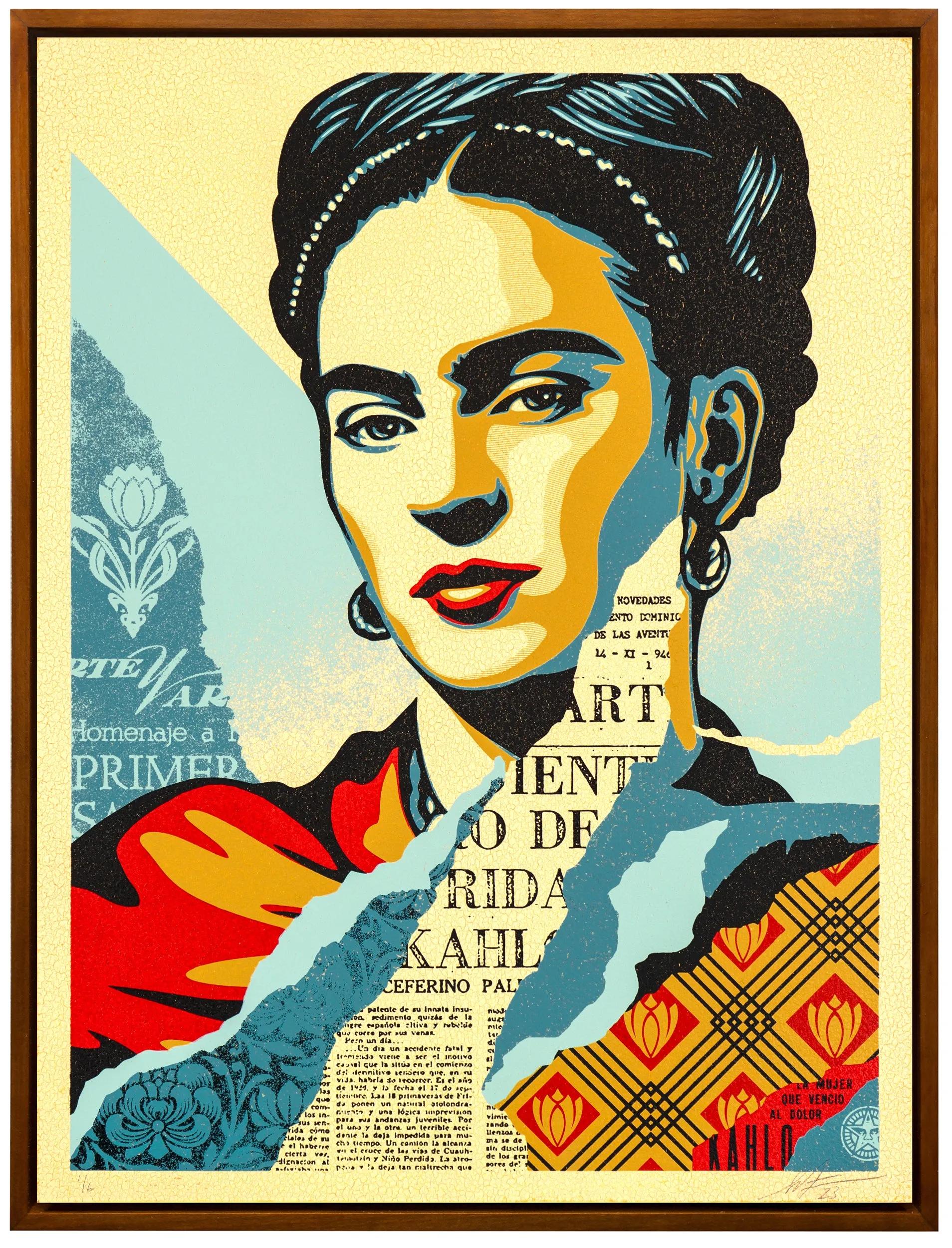 Shepard Fairey | The Woman Who Defeated Pain
