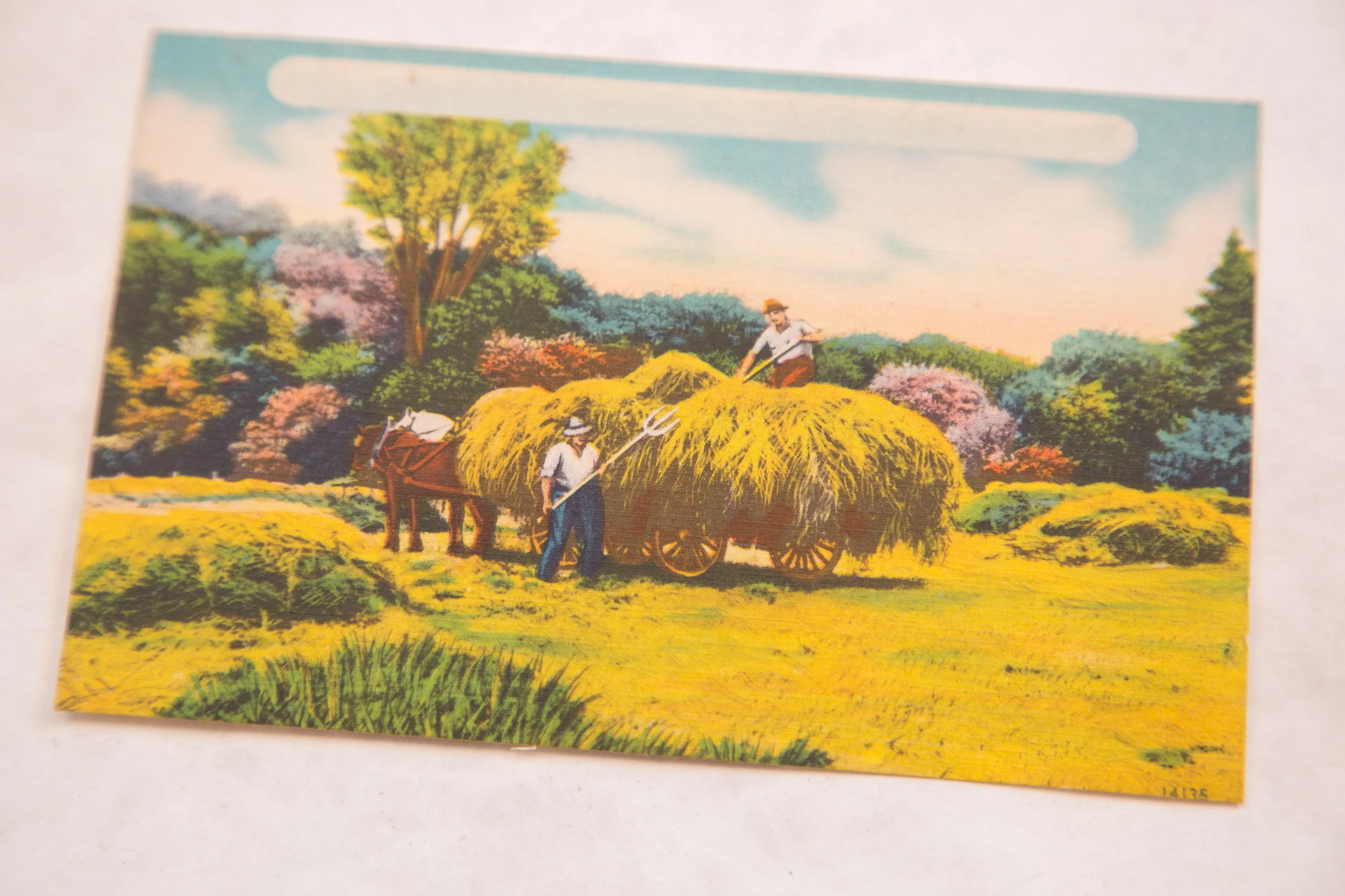 Vintage Catskills NY Postcard Farmers with Hay